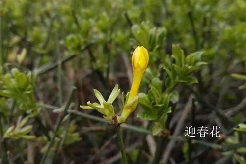举例说明运动镜头的种类男人边吻奶边挵进去av片无码，举例说明运动镜头的种类与魅力