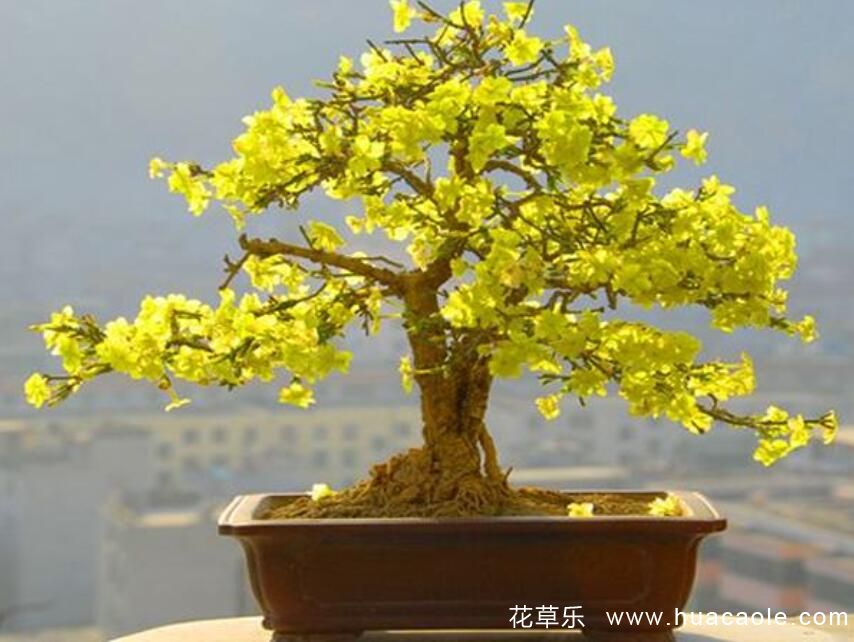 温暖女神琪BABY日韩202了精品区二区三区四区，照亮生活的那份温柔力量
